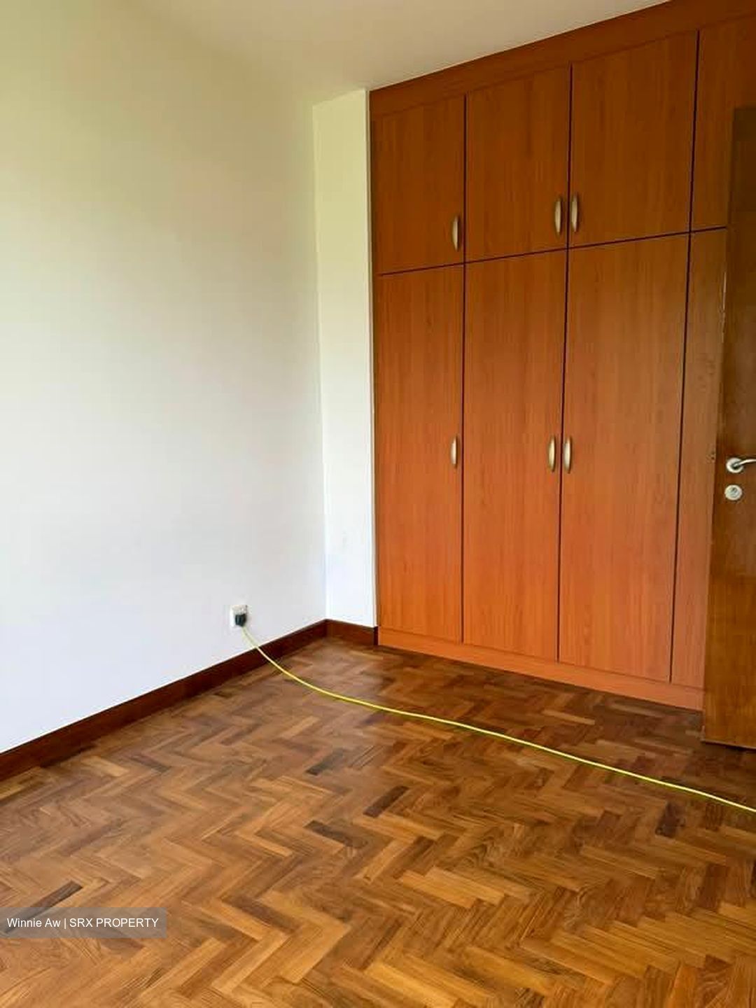 Palm Mansions (D5), Apartment #574497321